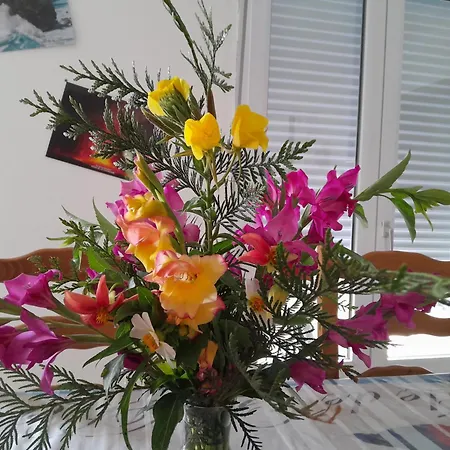 De Charme En Normandie * Hauterive (Orne)