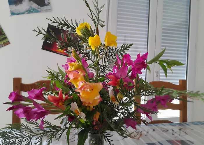 De Charme En Normandie * Hauterive (Orne)